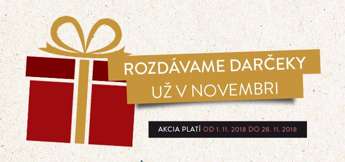 AKCIOVÝ LETÁK 1.DAY
